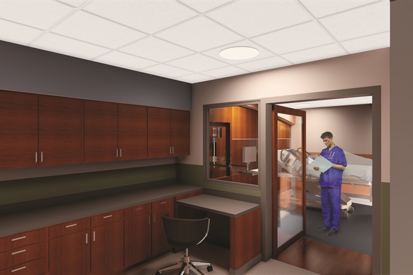 ICU Renderings