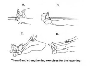 Four way ankle theraband deals exercises